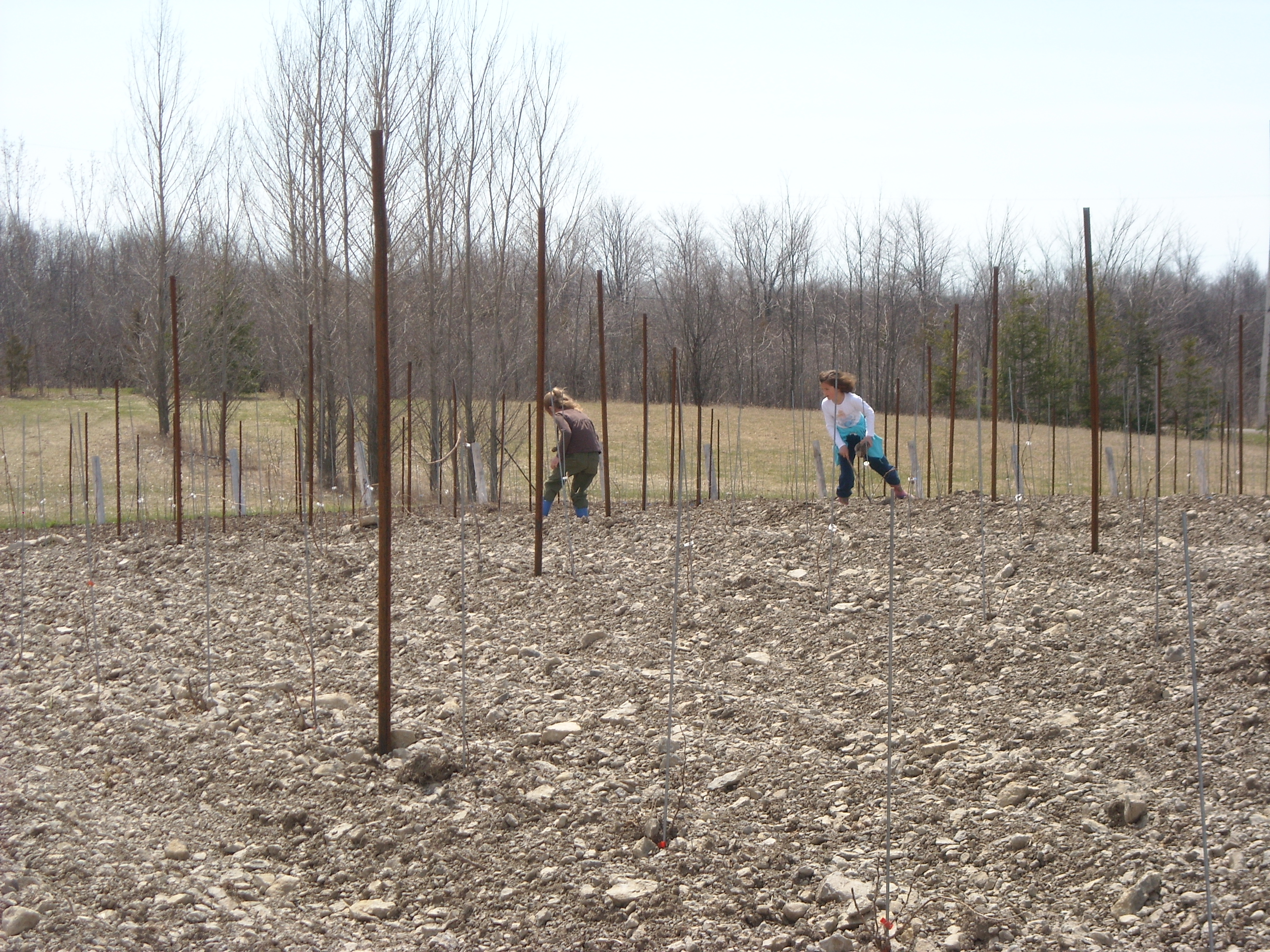 Copy of spring 2009 115