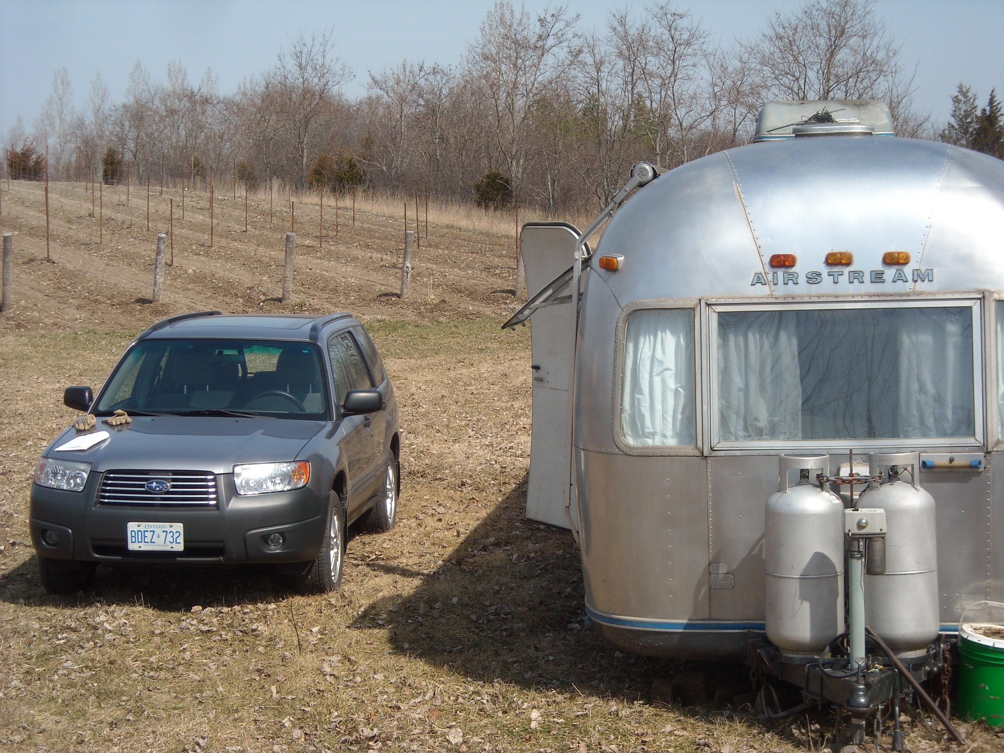 vineyard March 2010 003