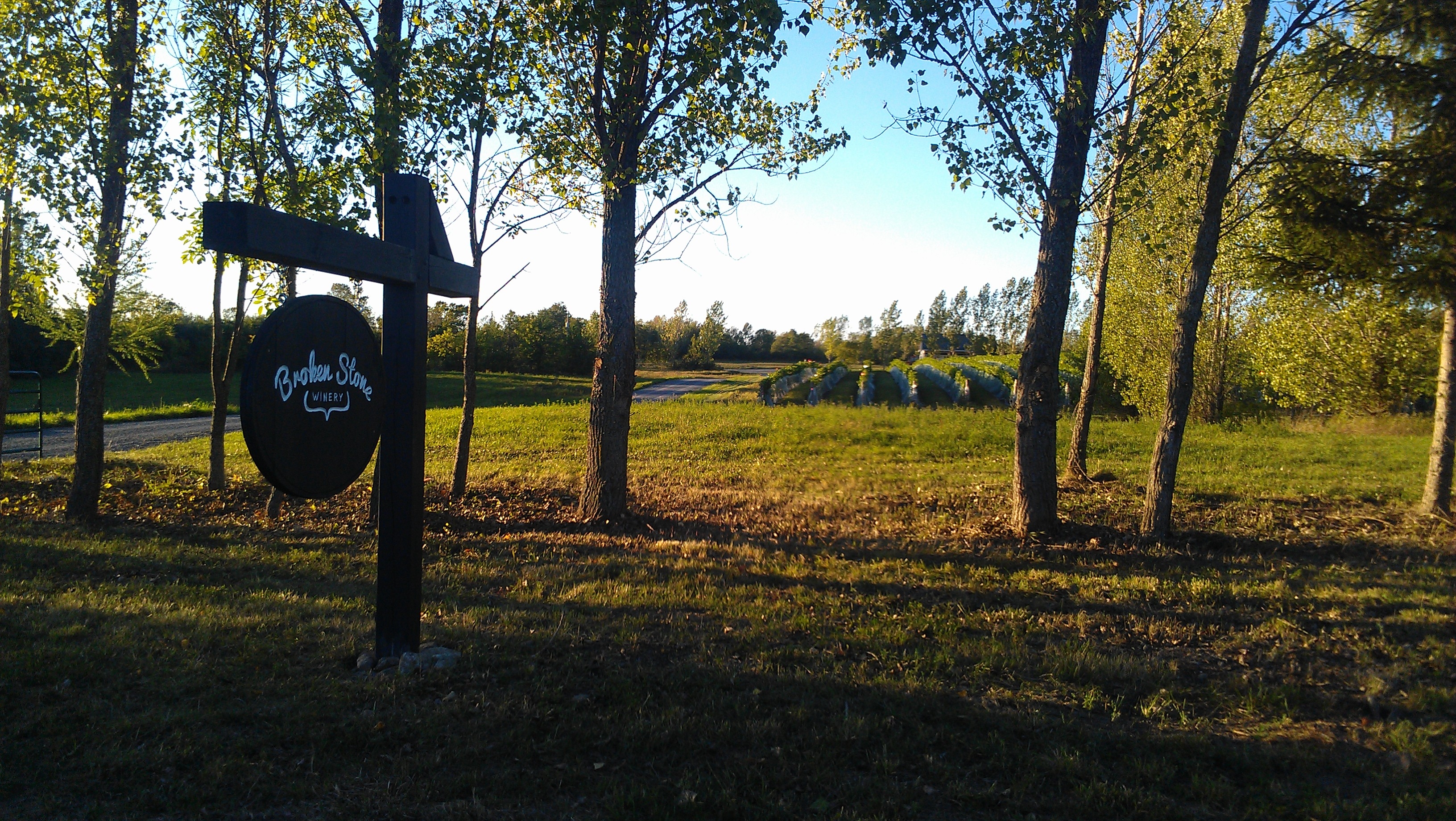 winery road shot sept 2013