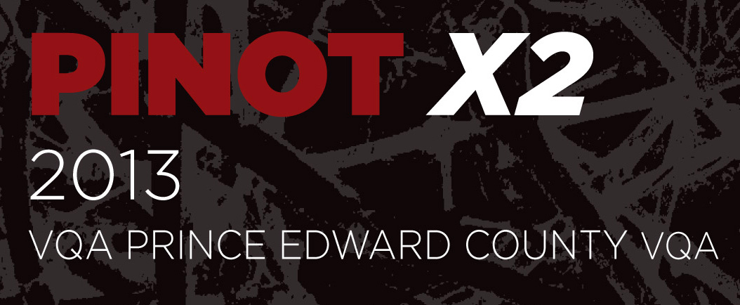 Broken Stone Winery Pinot x2 2013 -1_edited-2