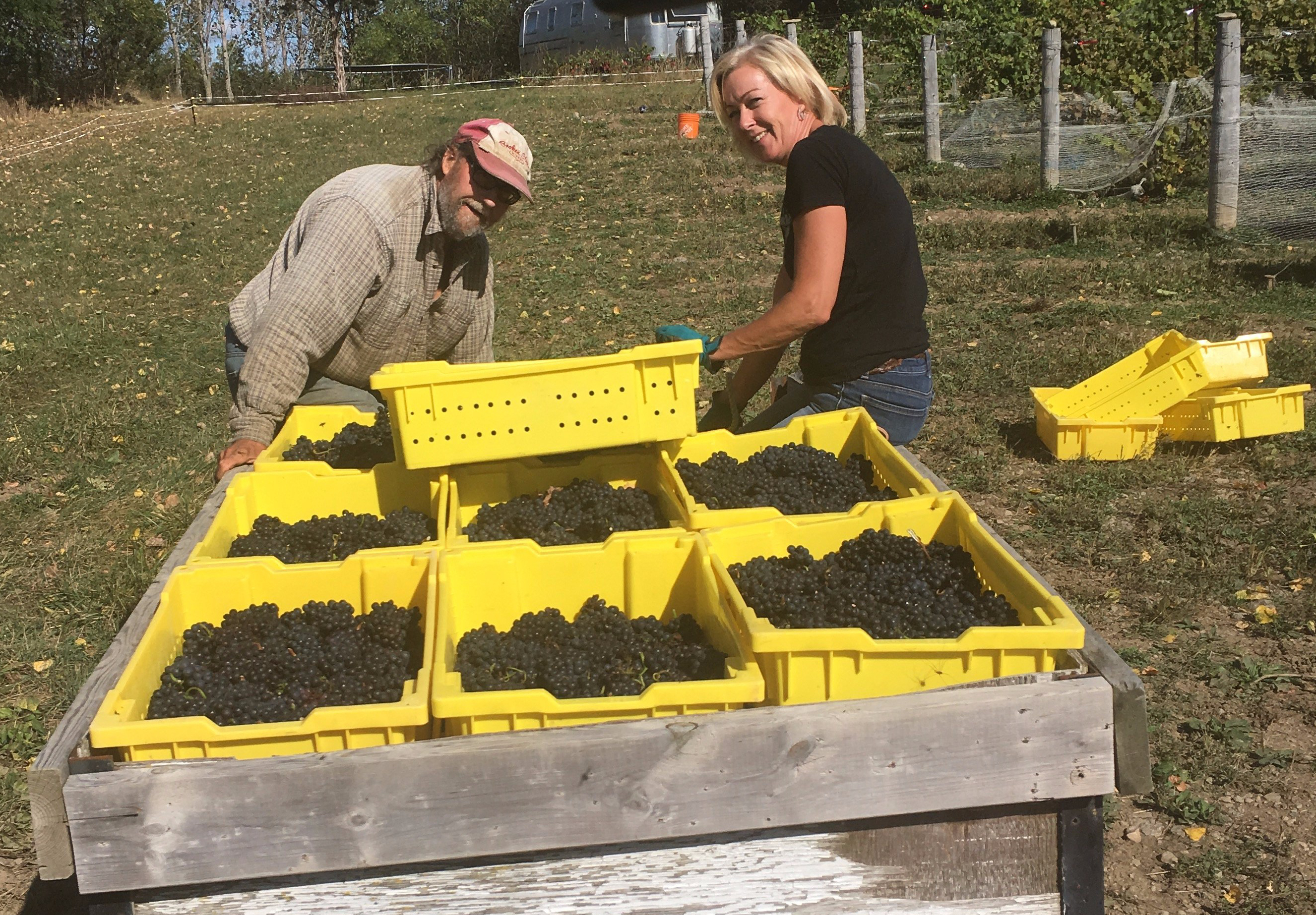 Img 0734 E1545757981450