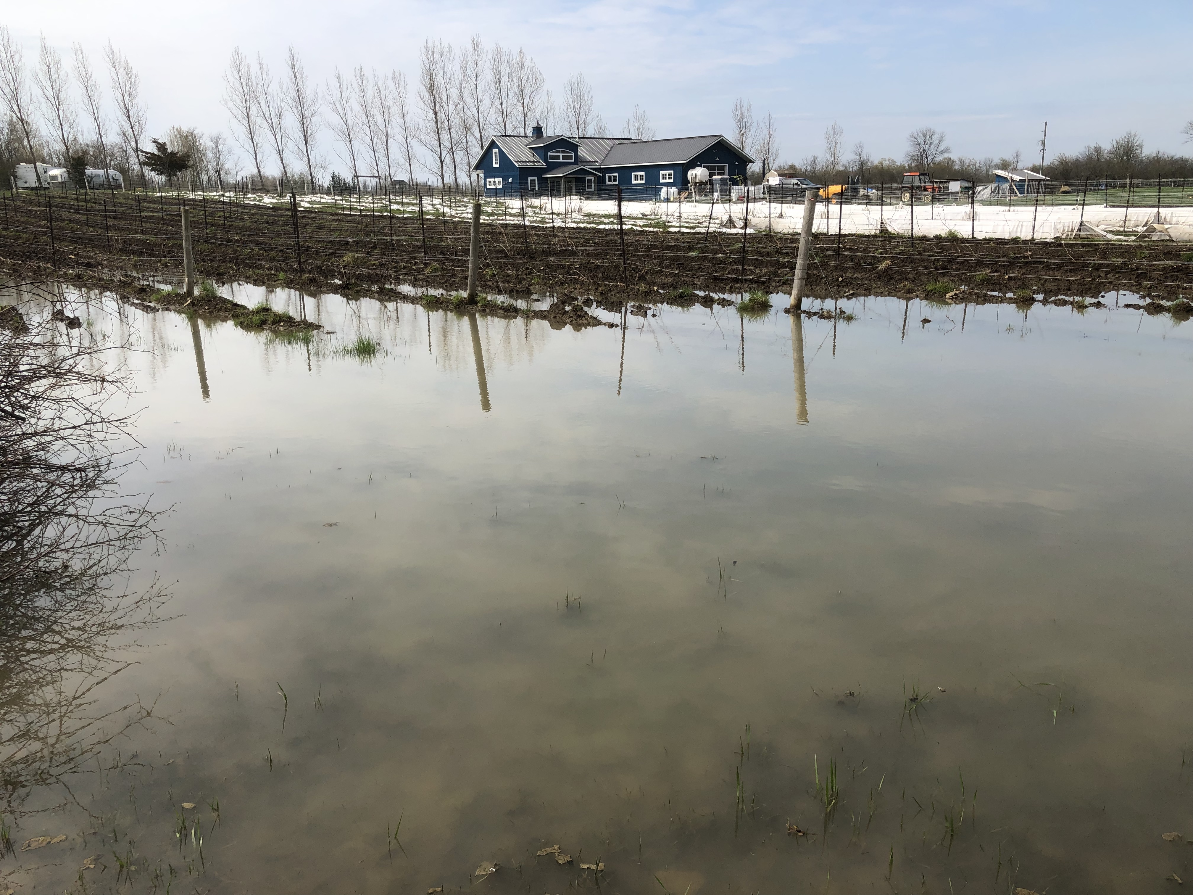 Waterfront Vineyard 2019